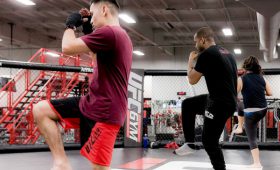 Владельцы World Class откроют в России сеть UFC Gym