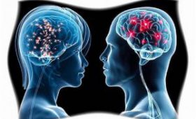 Эксперты назвали разницу в старении мозга мужчин и женщин