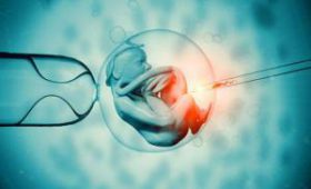 «Собственные яйцеклетки можно использовать примерно до 43 лет»: репродуктолог об ЭКО и шансе на чудо