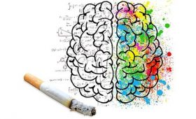 Как курение действует на мозг