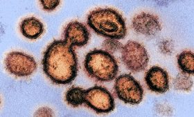 Коронавирус: Инфекция обнаружена в 49 странах, ВОЗ заявляет о пандемическом потенциале вируса