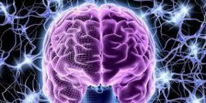 Неврологи опробовали уникальный способ омоложения мозга