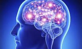 Электрические разряды в мозг помогут улучшить память