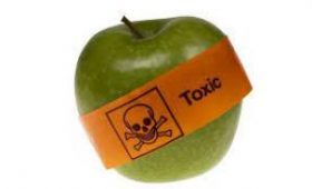 Токсичные вещества в упаковках продуктов могут причинить вред здоровью
