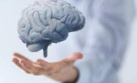 Британские ученые придумали, как затормозить старение мозга